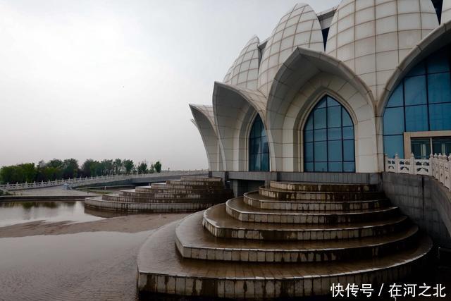 菩提岛 菩提树下 海风拂面 任天地在胸中激荡