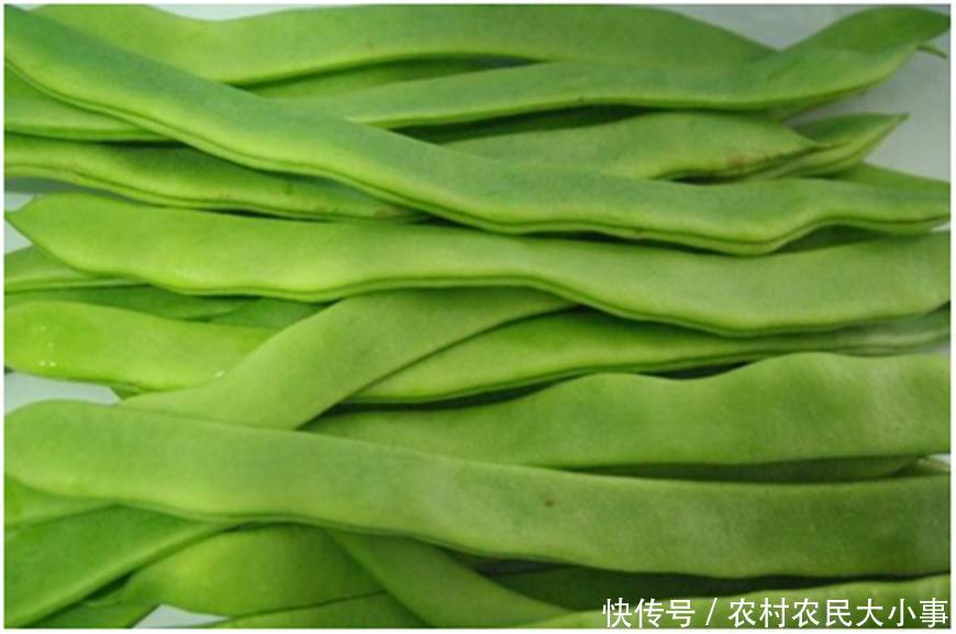 农村冬季必备的一道菜,只要3颗种子,足够3个月的吃食