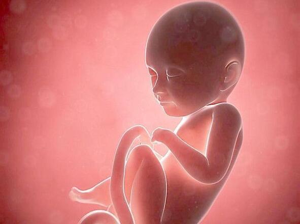宝宝胎心率多少正常? 胎心率怎么看胎儿性别?