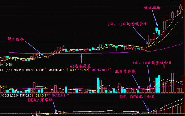 三金叉见底形态,大跌之下寻找龙头必备技能(附个股) 300682朗新科技