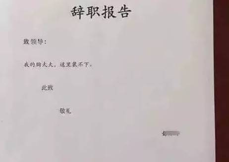 【转】北京时间 word天!简单一封辞职信竟曝光这么多内幕 - 妙康居士 - 妙康居士~晴樵雪读的博客 【转】北京时间 word天!简单一封辞职信竟曝光这么多内幕 - 妙康居士 - 妙康居士~晴樵雪读的博客