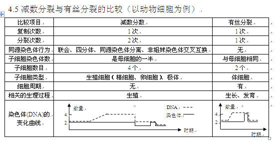 说出有丝分裂,减一分裂,减二分裂图像的前后期判定方法