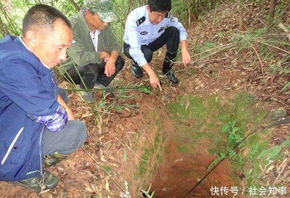 一男子在山上采药时发现坑洞内有一生物，走近一看吓得赶紧报警