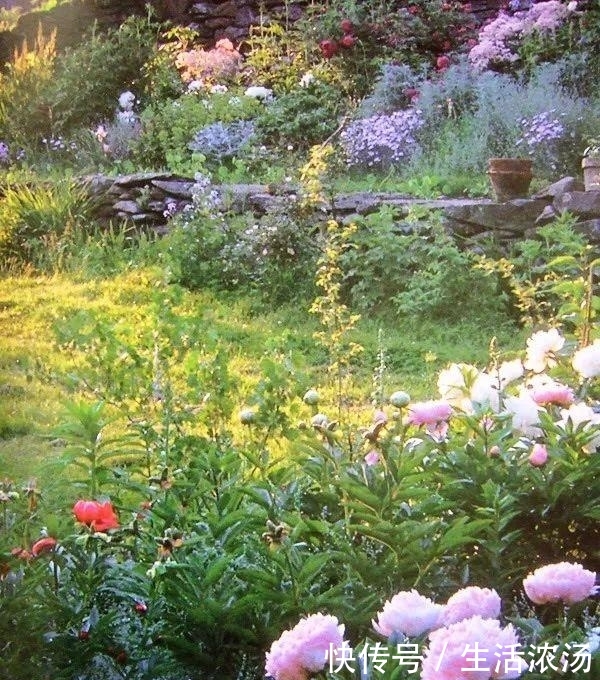 t0178384feb38437f41.jpg?size=600x680