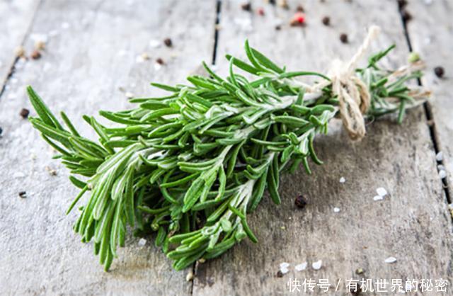 洗头后,拨开头发一看密密麻麻全是头皮屑,2招教你轻松去除它!