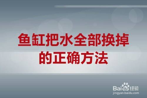 李滄區(qū)卉芳魚亭花卉店 全國水族館企業(yè)名錄