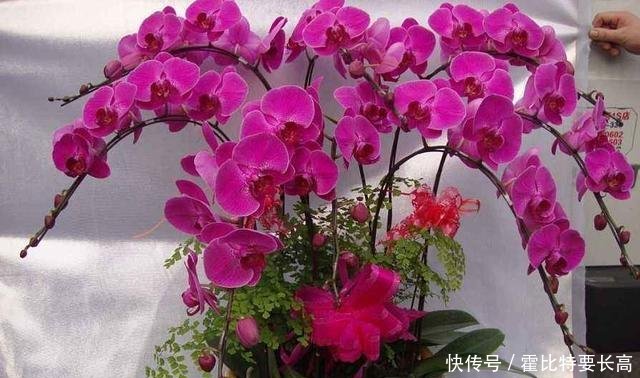 t017bdbebc637b18ffb.jpg