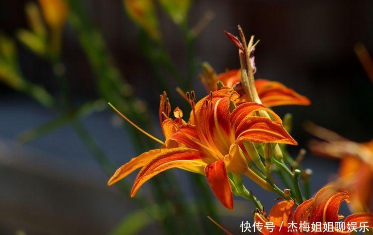 8月8日开始财神撑腰,顺风顺水,横财如雨,享荣华富贵的四属相 fg电子游戏平台