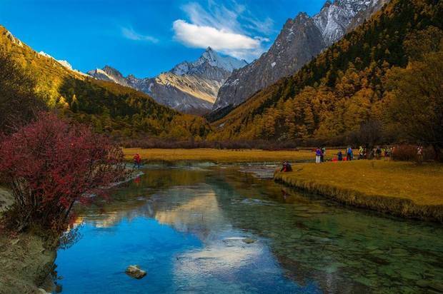 为什么会长肠息肉?