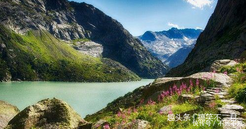 5月中旬开始运势逆天，正偏财一起发，买车买房的3大生肖