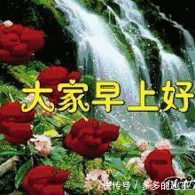 2018最新版漂亮早上好v表情表情图片有的没表示图片素材表情包动态最漂图片