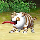 条纹猫.jpg