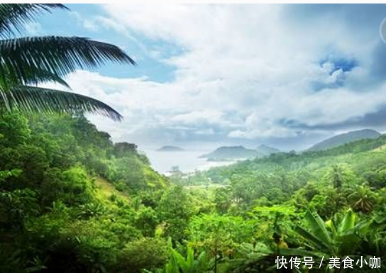 好朋友!印尼:中国朋友可以免签来我这玩了 俄罗