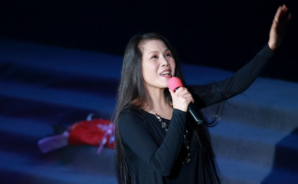 华语乐坛10位实力派女歌手，谁将成为四大天后?为你的天后看一看吧