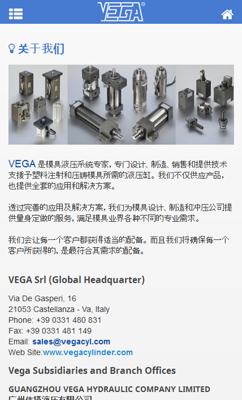 VEGA 液压缸截图2