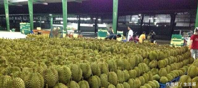 泰国榴莲滞销,泰国人都怪你们中国人!