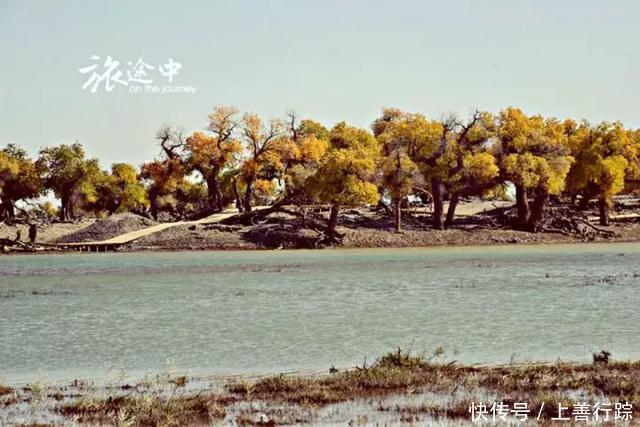 如果你想来内蒙古,千万不要错过这些实用信息