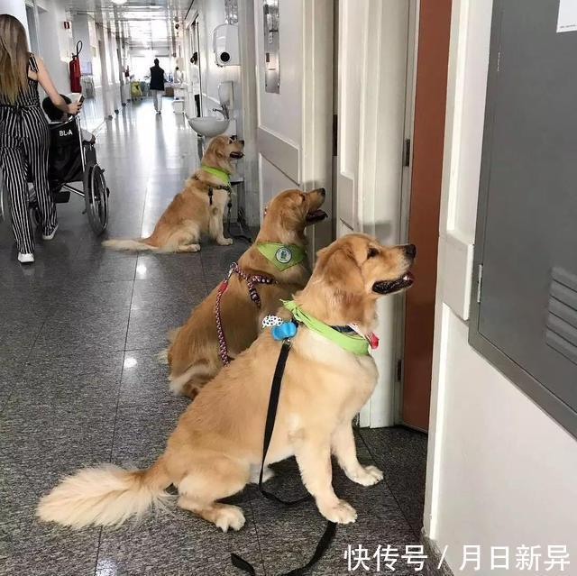 疗养院是干什么的