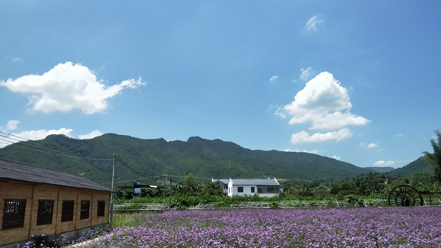 不想被感情束缚水瓶座女生,是我行我素,喜欢一