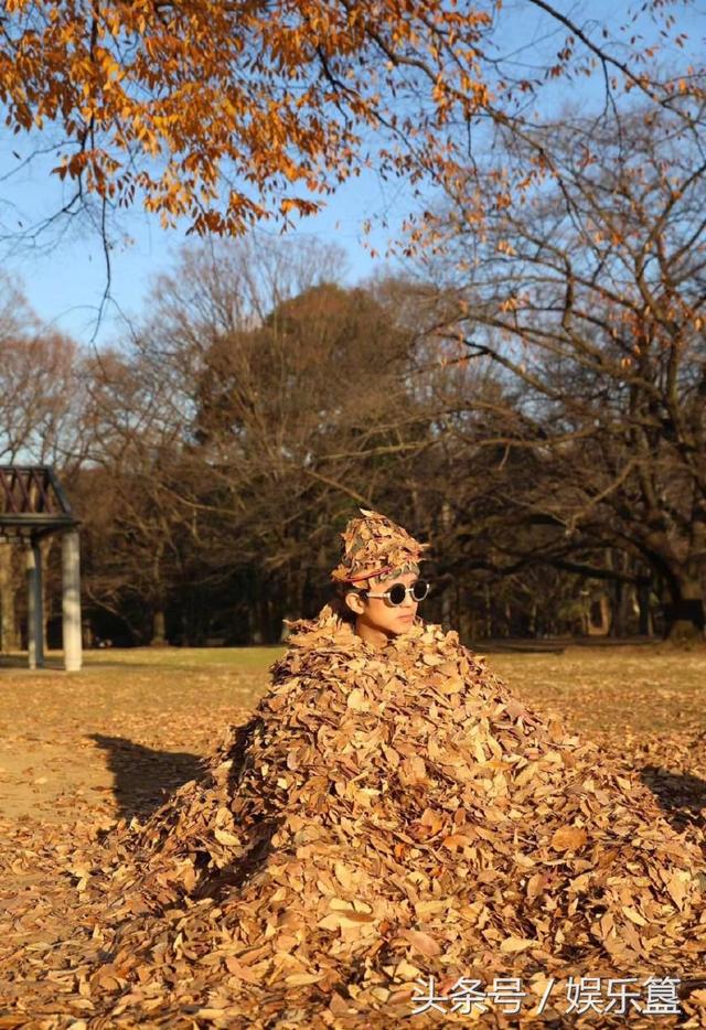 孙俪晒邓超孙俪堆树叶照片笑崩网友,邓超评自