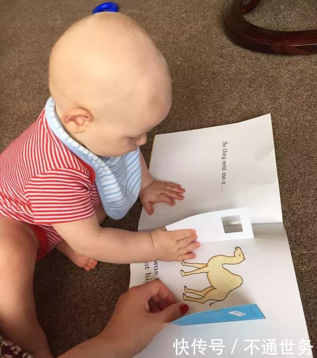 1岁大的宝宝如何学会阅读绘本?中科院教育指