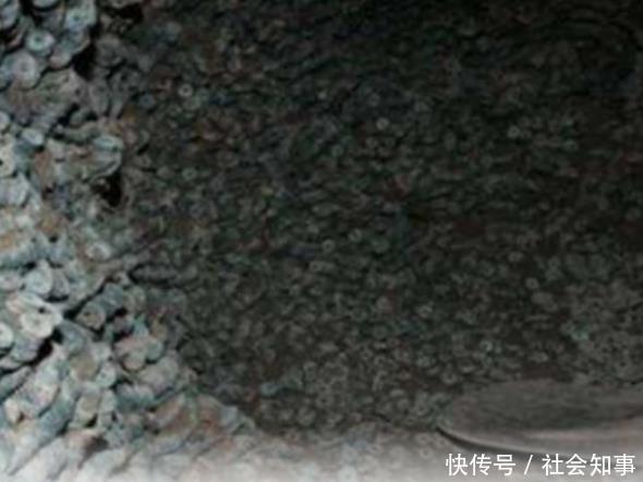 老人自家田里挖出“金库”,刚想大笑,下一秒恐慌不已