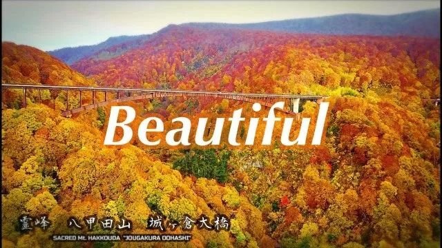 t018c72a1a3c23b1374.jpg?size=640x360