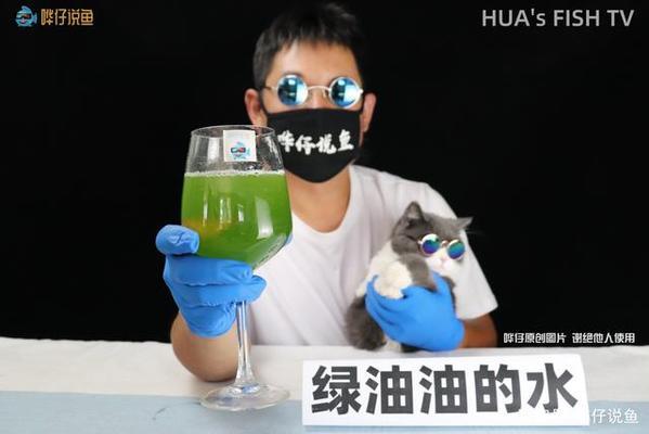 龍魚黑水的使用方法視頻（龍魚黑水的使用方法視頻教程）