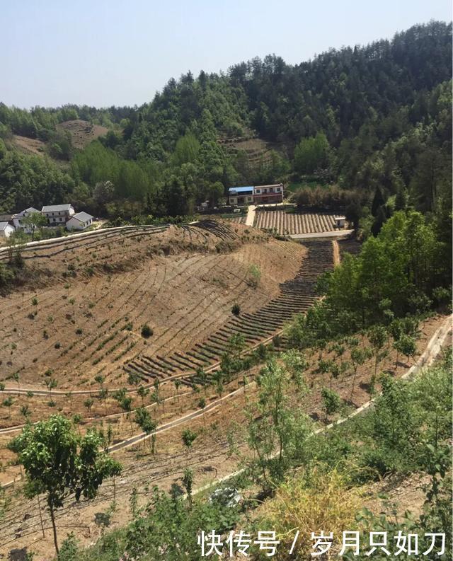 商南县多少人口_商南县医院(2)