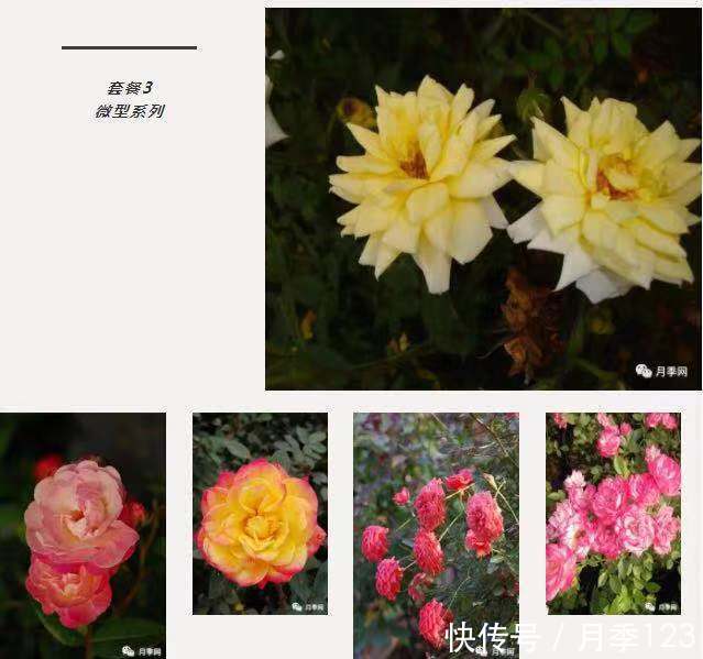 t018e20a1cf7548faca.jpg