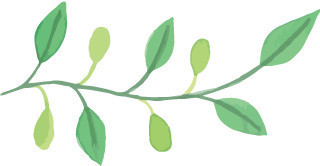 初中老师写化学元素评语:每个学生对应一种,