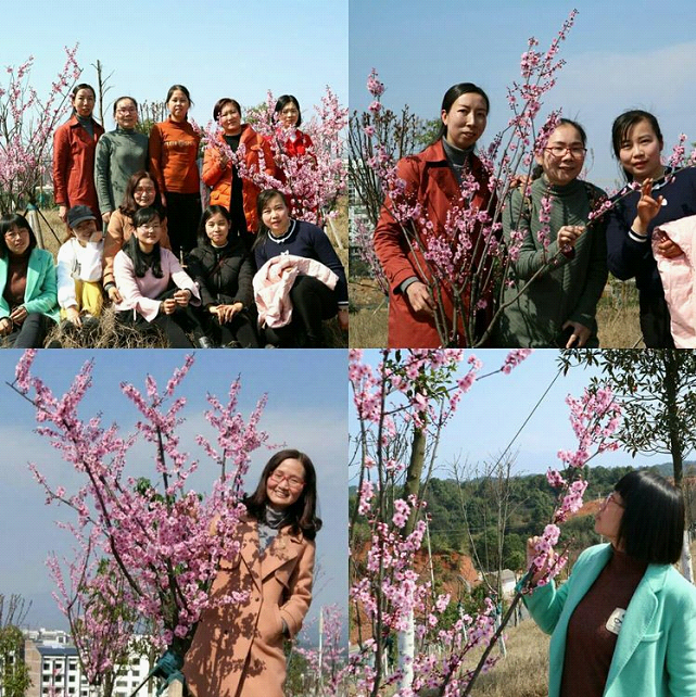 牵手春光 不负芳华一一平江二中庆三八节野外烧烤踏青活动