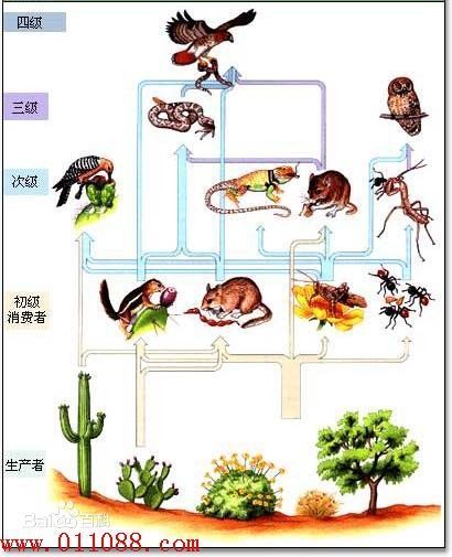 答:食物链中 处于越高等级 则有毒物质积累越多,这就是生物富集.