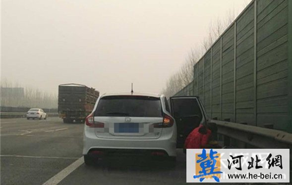 高速公路上小便.图片由高速交警衡水大队提供