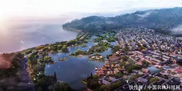 从无到有,年入6亿的特色小镇是如何炼成的?