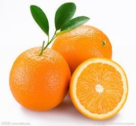 橙子几月份成熟_360问答