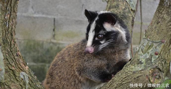 现在北京非典疫情