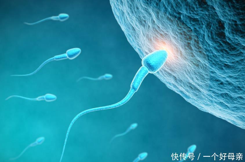 为什么备孕前先治好妇科病?