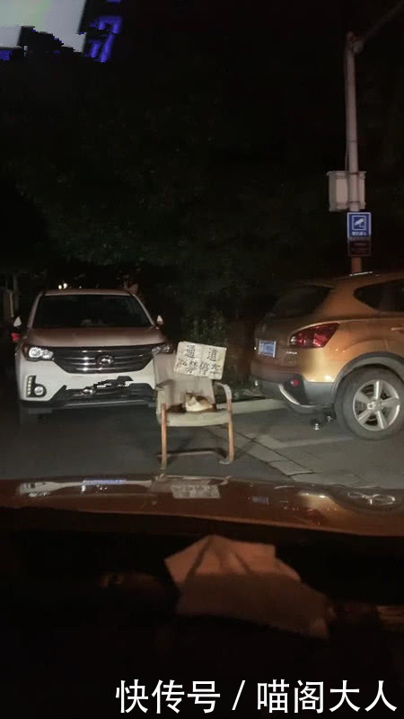 女子半夜回家,打算将车停进车库时发现不对,猫:停车费两条鱼干 新濠天地娱乐在线