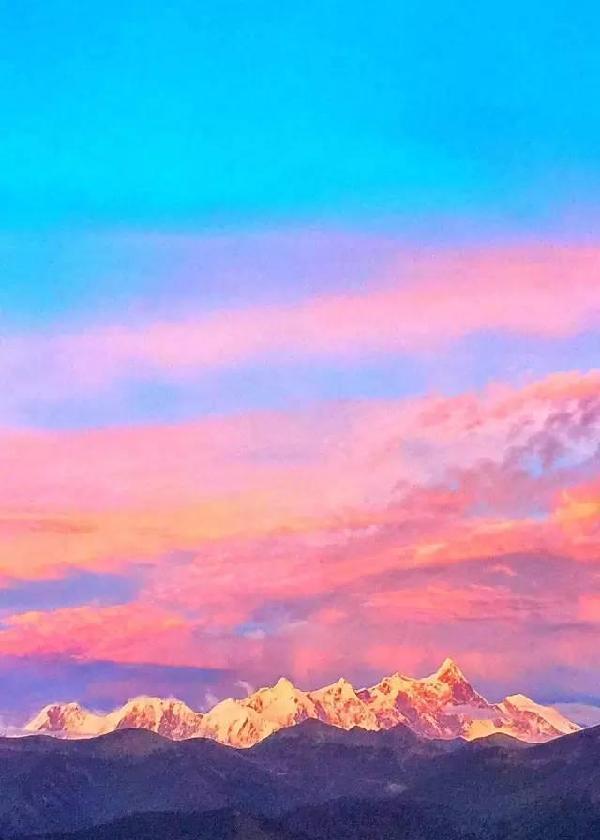 中国电影,创造更多艺术可能--自然生态环境电影