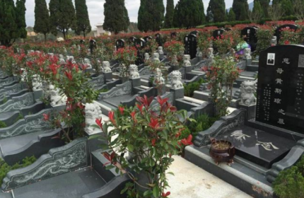 清明挑一个5A级景区出发 盘点适合清明假期旅游的景点