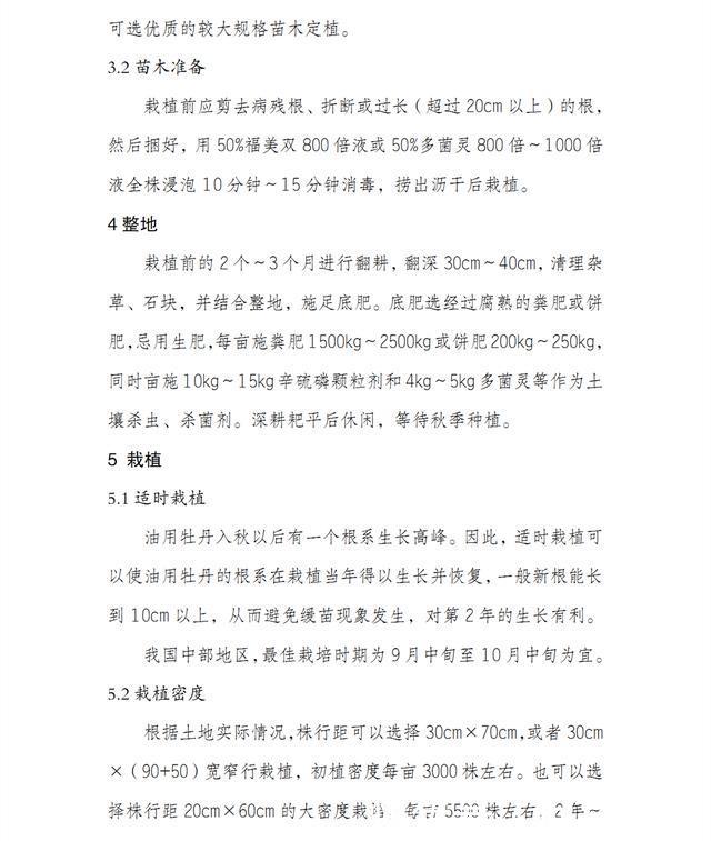 按照这9个条件去建设，才能申报油用牡丹示范项目补贴资金！