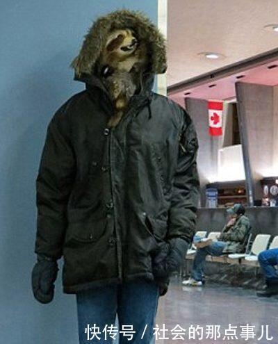 男子逛商场时发现门口有两个怪人,上前一看,