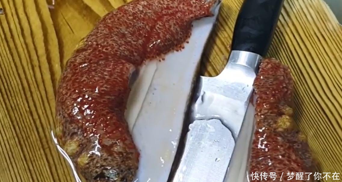 实拍韩国厨师切开一只2斤重的大海参,鼓鼓的身