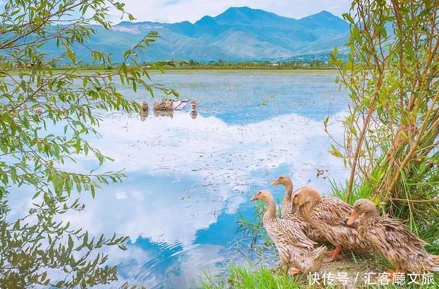 嗨,那个赶路人,这里是丽江