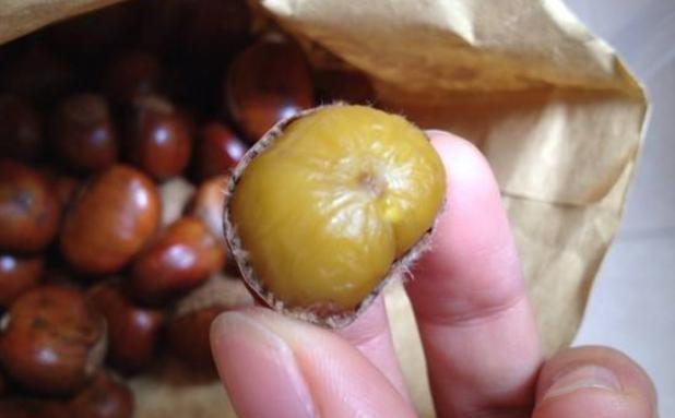 板栗好吃皮难剥,教你3个小技巧,轻松剥皮不伤