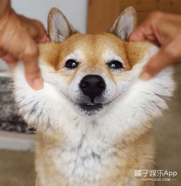 "揉就揉,能不能不要挤我的卡姿兰大眼睛"系列