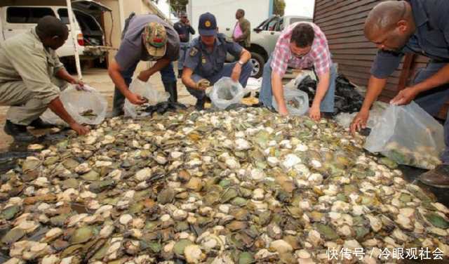 一间隐蔽的旧厂房里隐藏着多大的秘密，当破门而入后，脸色都变了