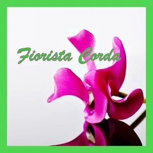 Fiorista Corda