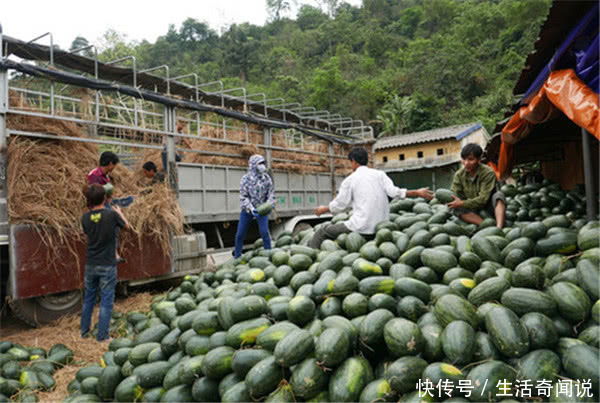 每年都有果农哭喊水果又“滞销”，但是有人却说不用心疼他们！